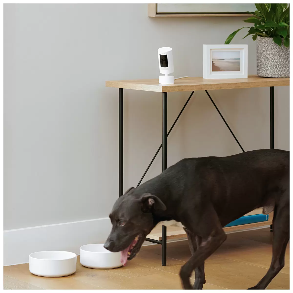 Ring Stick up Cam 2 Pack And Pan-Tilt Mount With IndoorOutdoor Power Adapter 2 Pack - Image 5