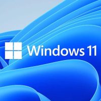 Microsoft Windows 11 Home OEM 64-bit English 1 Pack DVD